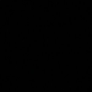 Meet your Posher, Lindsay